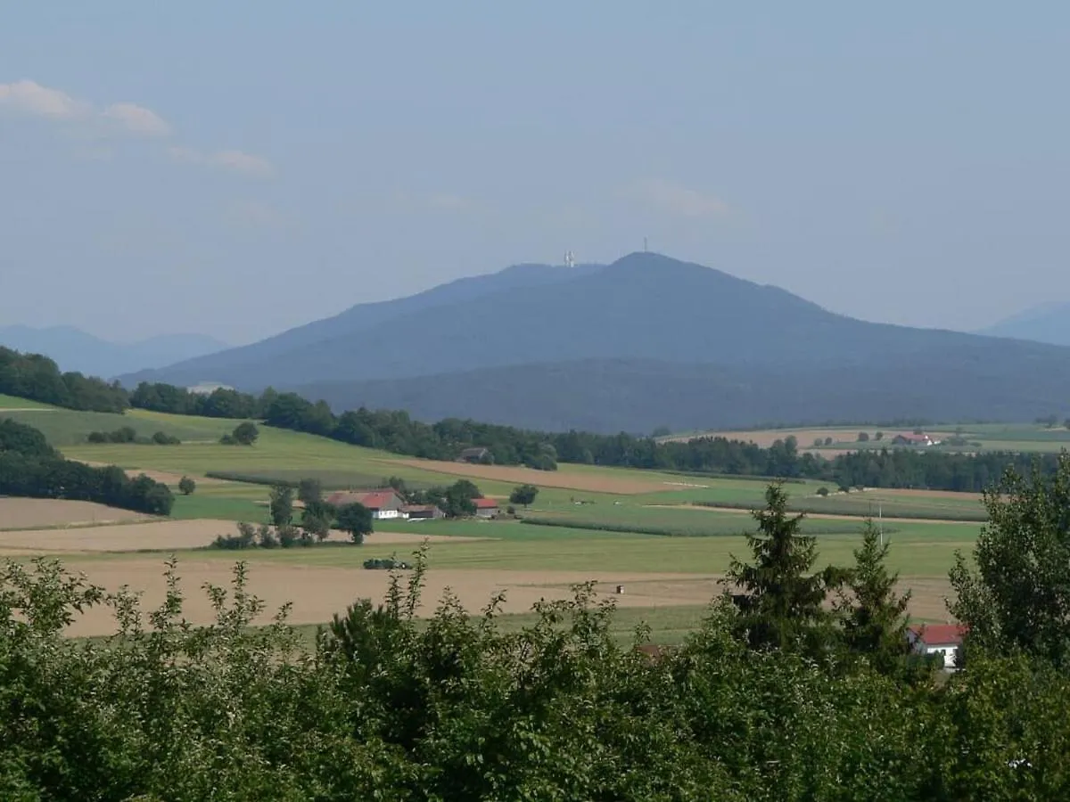 Appartement Ferienwohnung Bierl Gleißenberg